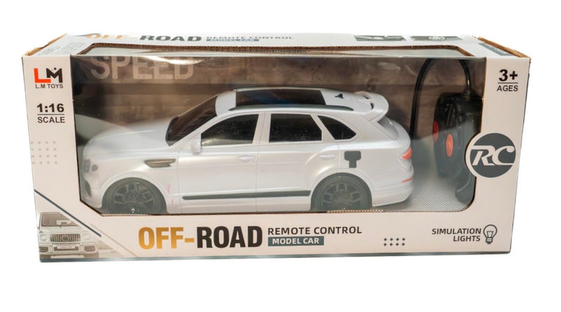 L.M. Toys 1:16 Scale High-Speed Off-Road Remote Control Model Car