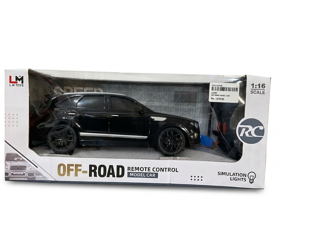 L.M. Toys 1:16 Scale High-Speed Off-Road Remote Control Model Car