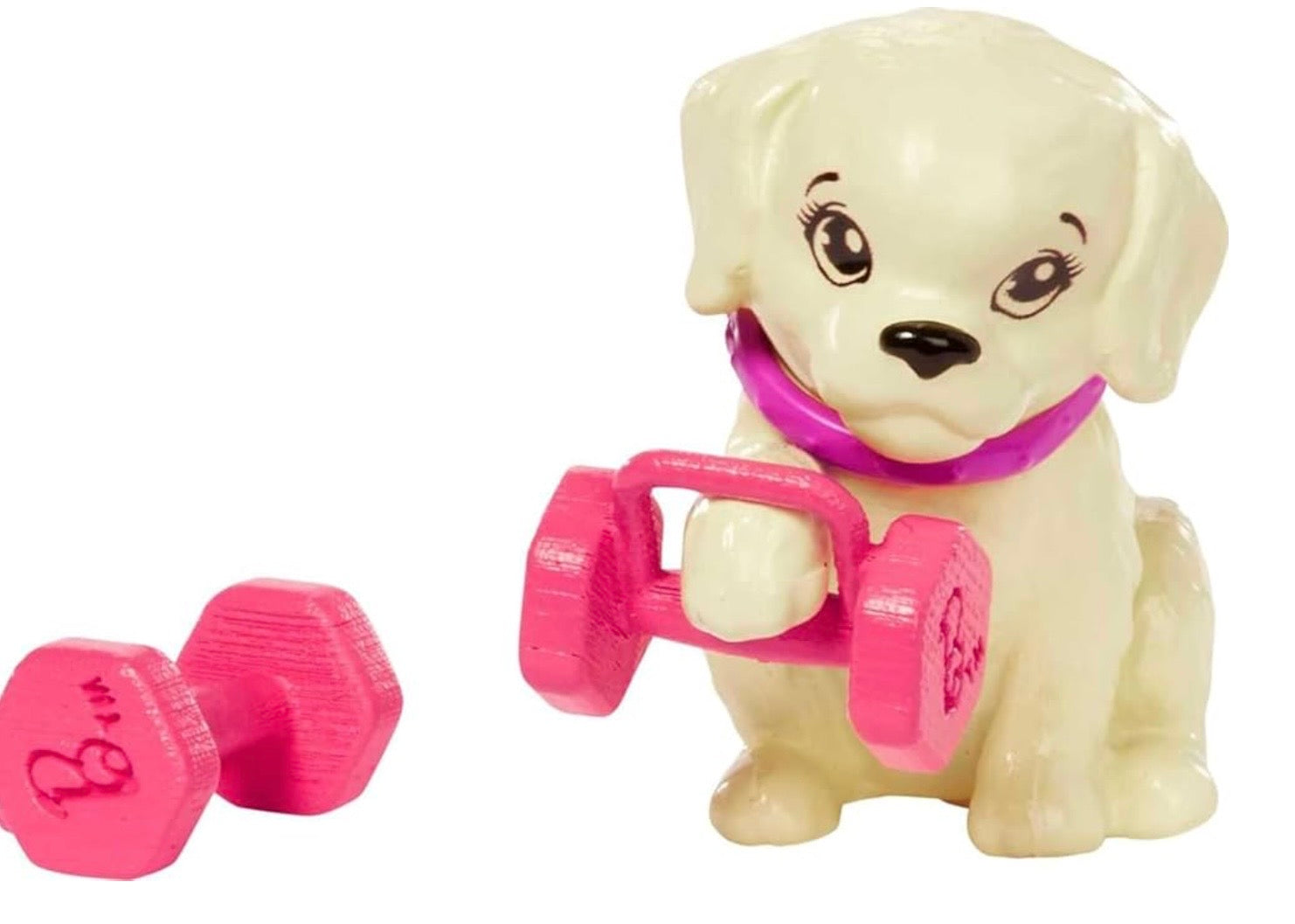 Barbie Active Playset with Puppy and Fitness Accessories